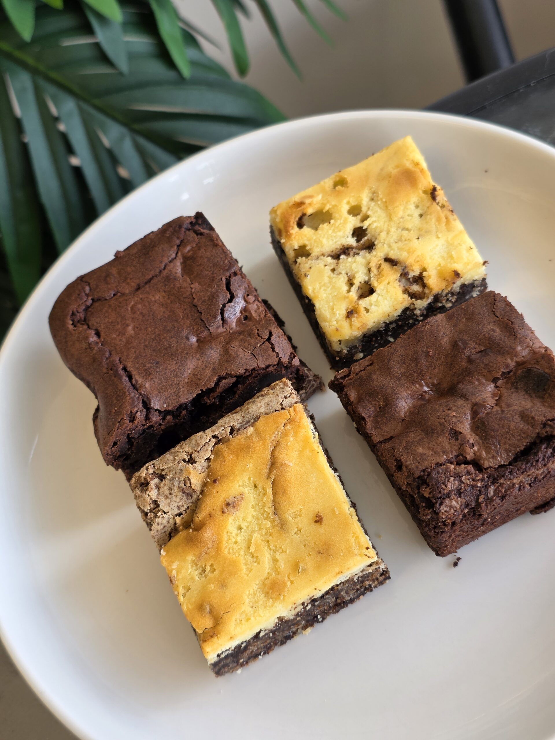 Cheesecake Brownie